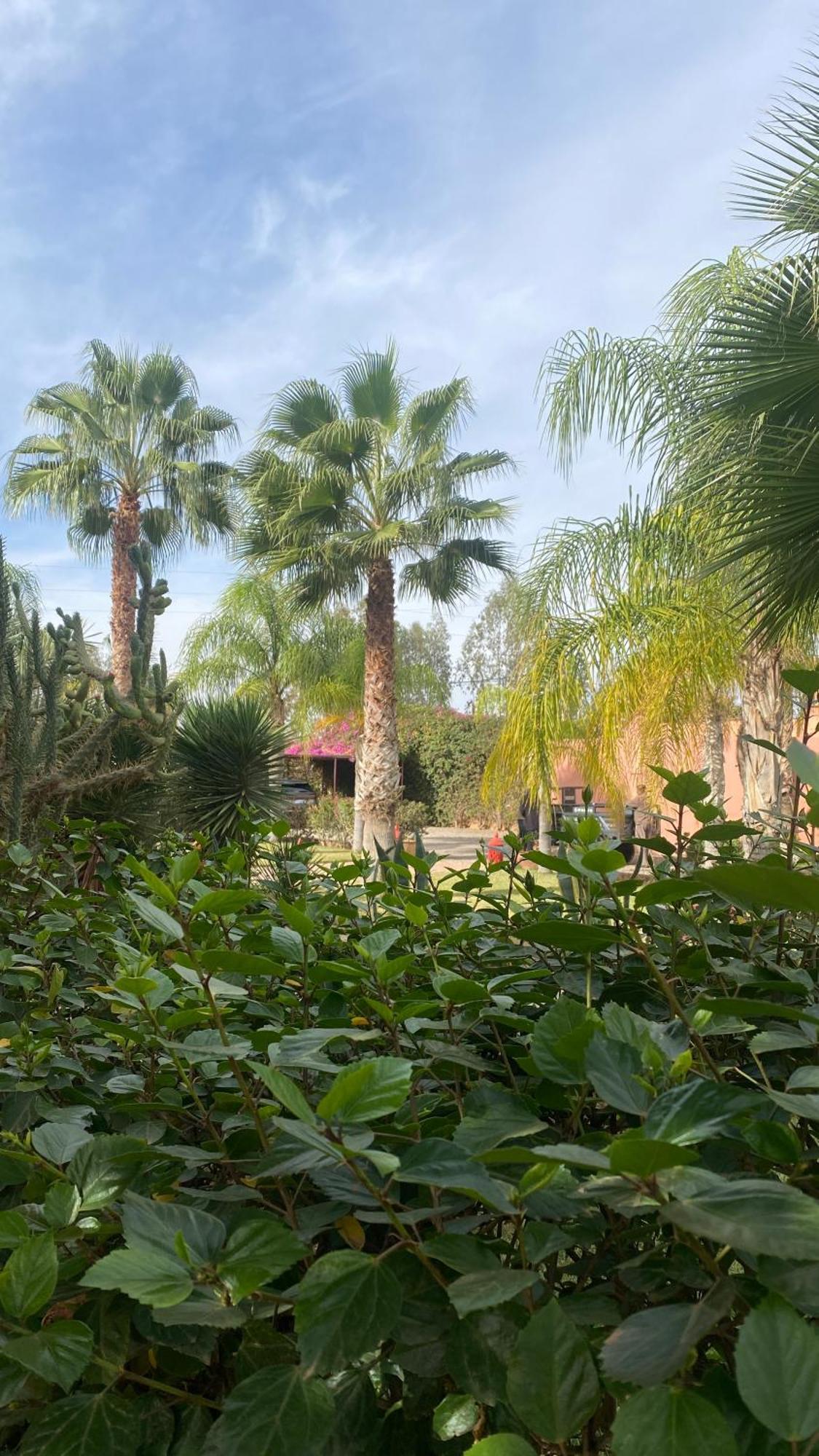 Le Rubis Oriental Marrakech Hotel Azib Oulad Ladem Ngoại thất bức ảnh